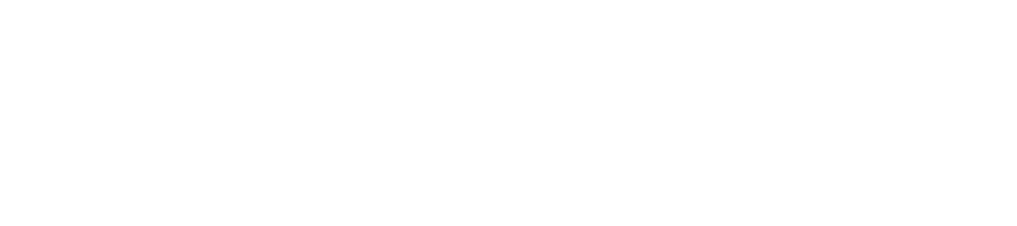Shiner Law Group, Accident & Injury Lawyers